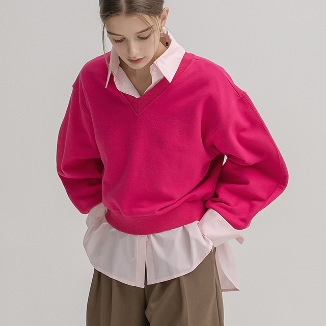 (T-6543)A Symbol V-Neck Crop Sweatshirt