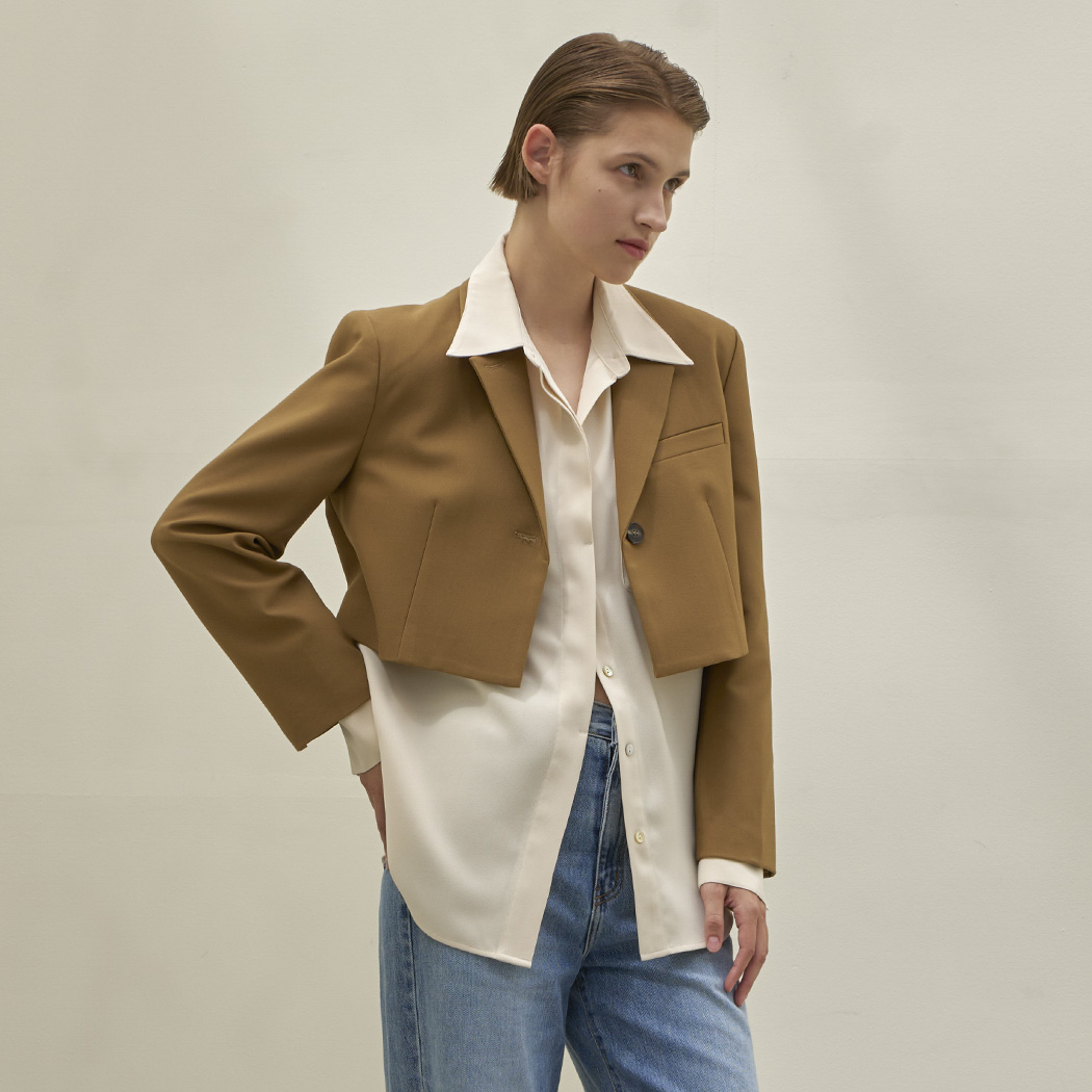 (BL-4158) Sheer Dress Shirt Blouse
